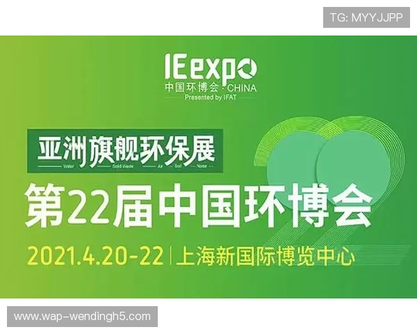 问鼎国际电脑版：优化企业国际运营流程的创新软件平台