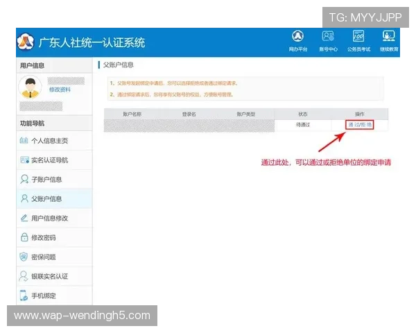 问鼎网页版登陆账号注册流程详解新手快速注册与登录技巧分享