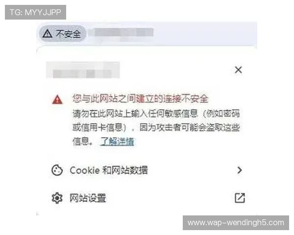 问鼎软件app入口登录不了怎么办，详细解决方案与安全提示