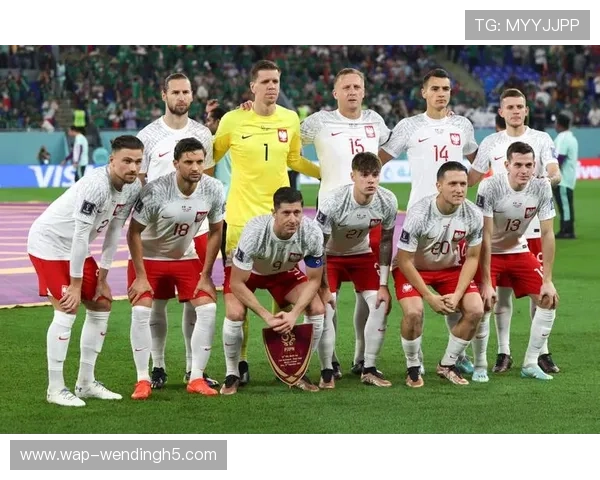 捷克墨西哥世界杯比赛入场时间及入场注意事项全攻略 捷克墨西哥世界杯比赛入场时间及入场注意事项全攻略